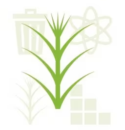 ElectroGreen® - Methyl Amyl Ketone Substitute for Electronics