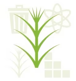 ElectroGreen® – NMP Substitute for Electronics–Type 1