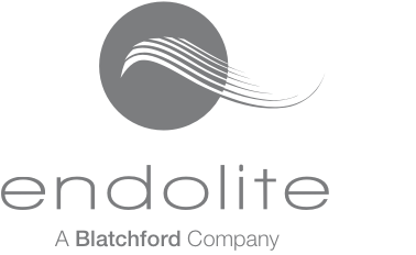 Endolite India Limited