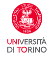 University of Turin