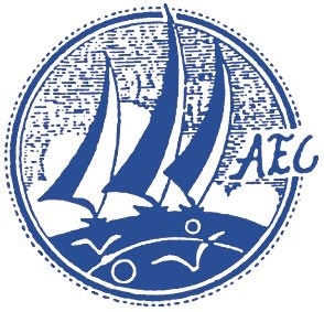 AEC Electronics Company Limited
