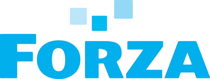 Forza Silicon