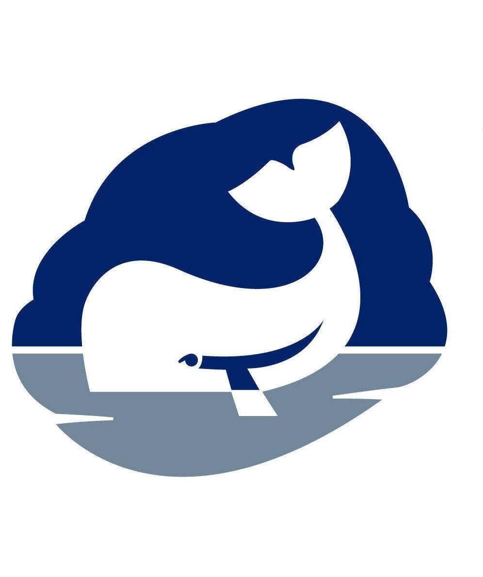 Whale Pumps