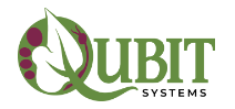 Qubit Systems Inc.