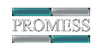 Promess Incorporated
