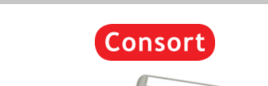 Consort nv
